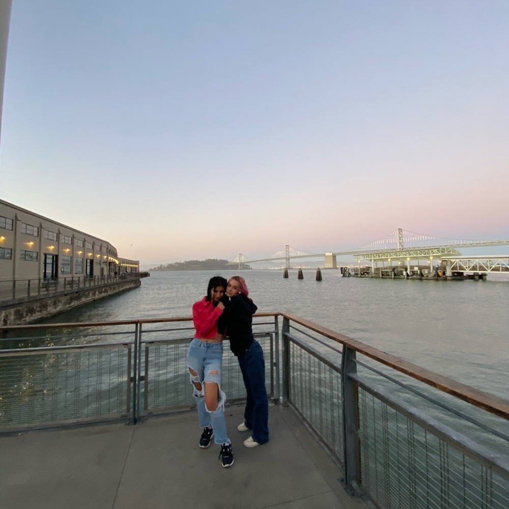 Meet your Posher, Stella